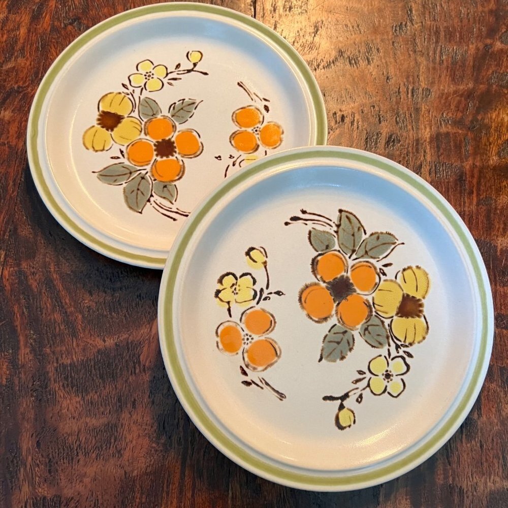 MCM Harvest Collection Stoneware Salad Plates